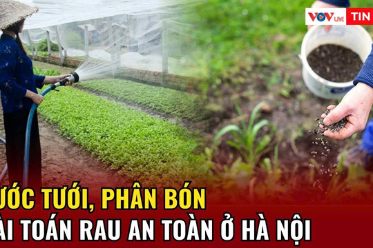 Nước tưới, phân bón và bài toán rau an toàn ở Hà Nội