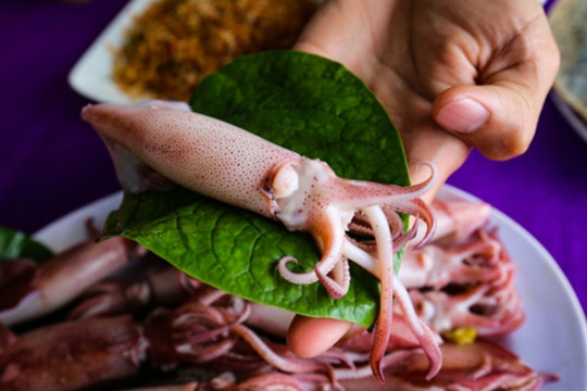 Tăng miễn dịch, bổ não, ngăn ngừa thiếu máu nhờ loại hải sản cứ ra chợ là có