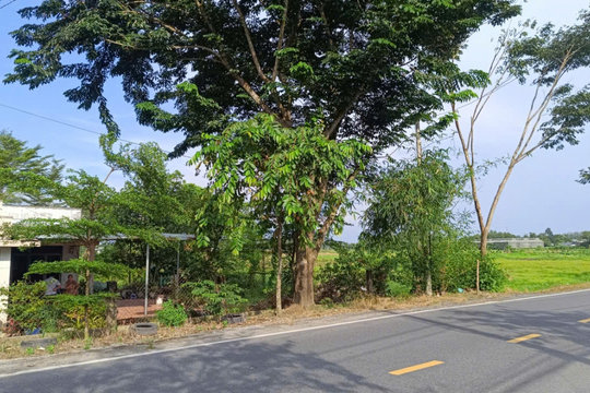 Dân đồng thuận giao đất nhờ chính quyền "nói đi đôi với làm"