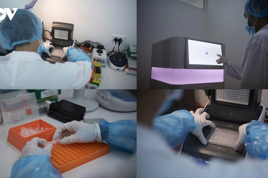 Kinh nghiệm quốc tế nâng cao hiệu quả tìm kiếm, quy tập hài cốt liệt sĩ