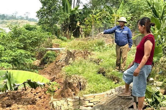 Bờ sông Hồng ở xã Liên Minh (Phú Thọ) nứt toác, đe dọa đất ở của người dân