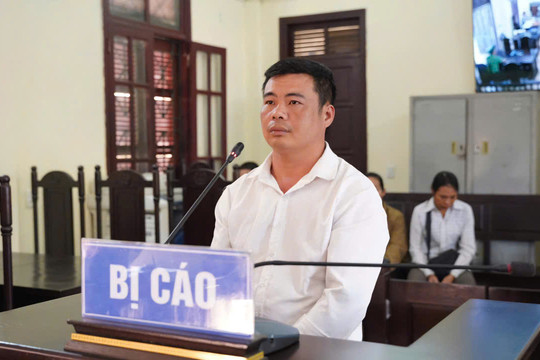 Đốt ong lấy mật làm cháy hơn 8ha rừng, người đàn ông bị phạt 2 năm tù