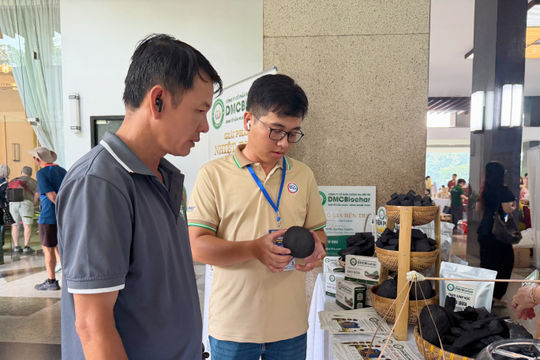 Vỏ cam, gáo dừa hóa hàng xuất khẩu, mở hướng phát triển bền vững