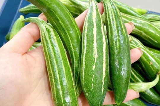 Thứ quả thanh mát giá bình dân, giúp giảm cân, mát gan lại hạ huyết áp cực tốt