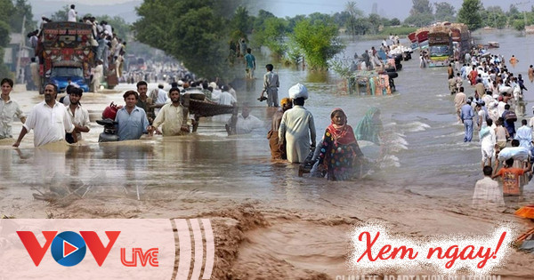 Lũ lụt tại Pakistan: Khi thiên tai trở thành khủng hoảng an ninh